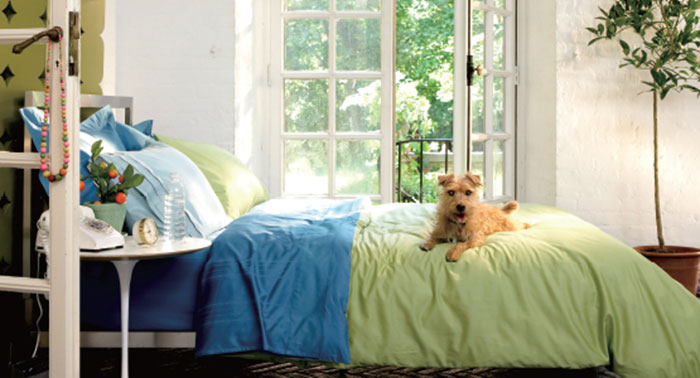 Máy lọc không khí Daikin MC80ZVM7